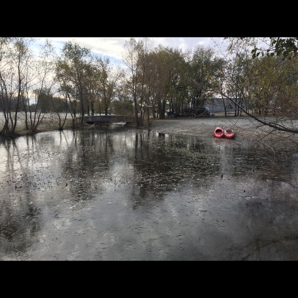 Hello there! Iโm Wilow - Picture 2 of 6